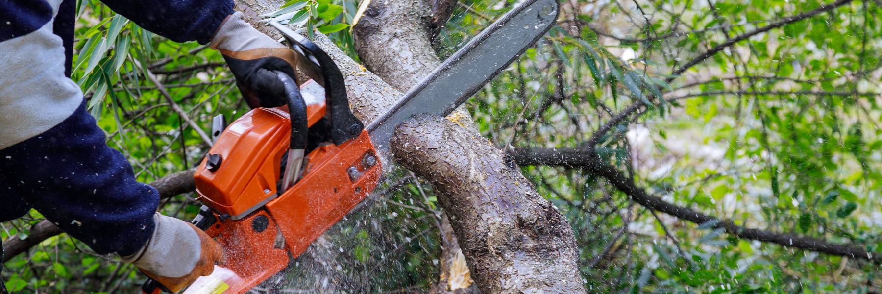 Tree services in Chambersburg, PA