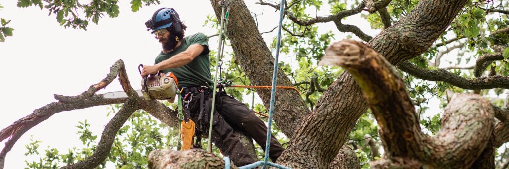 Tree services in Chambersburg, PA