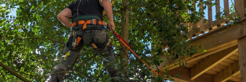 Tree services in Chambersburg, PA